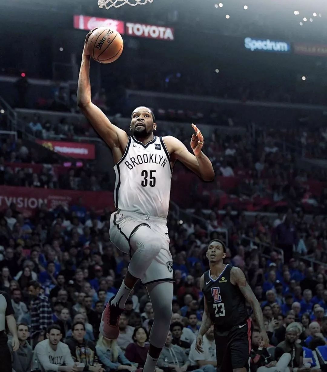 外高加索的 外高加索的