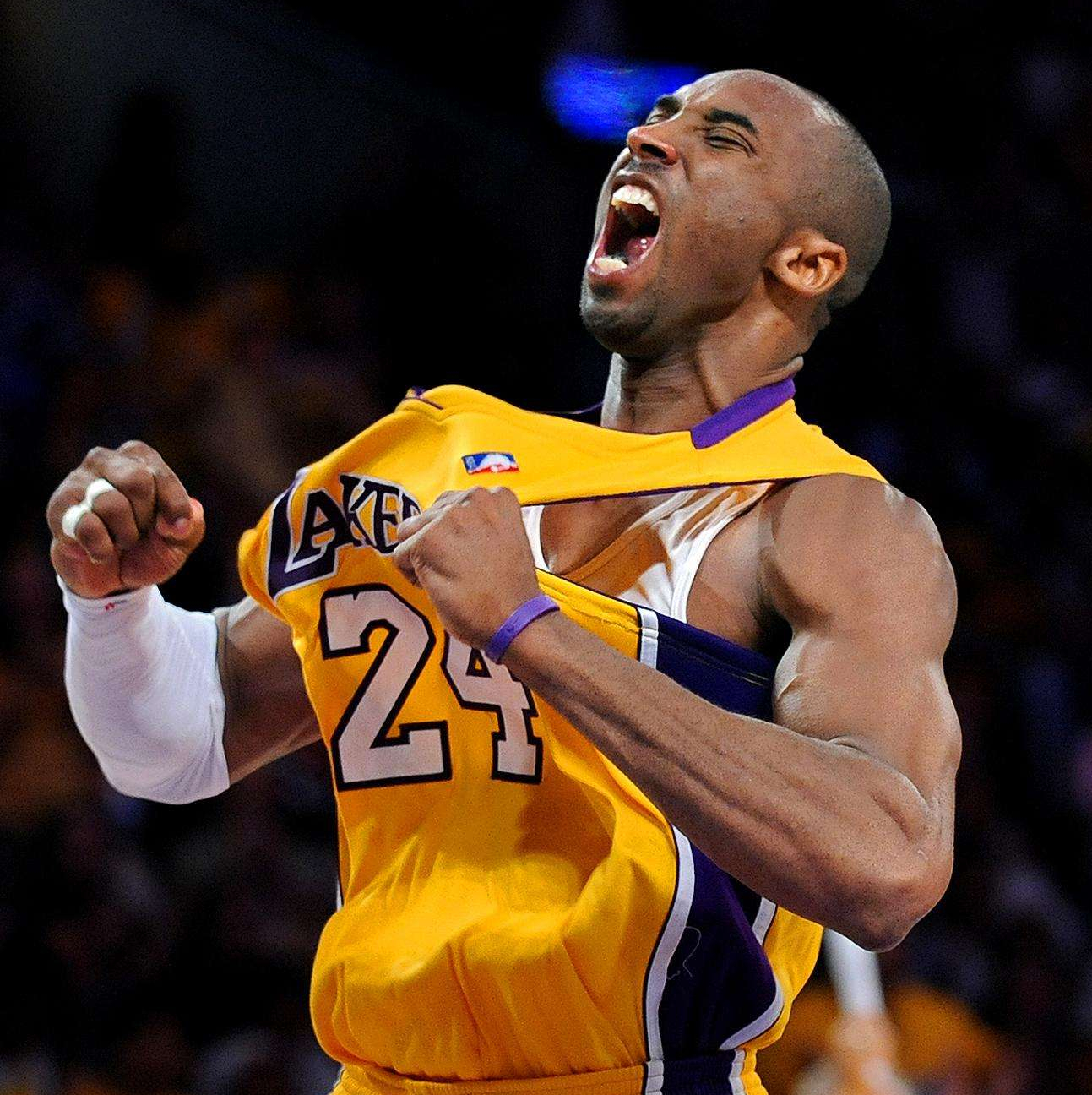 仅一张2 仅一张2